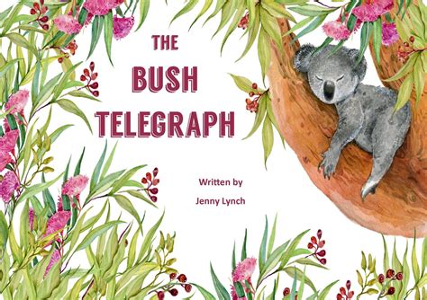Bush Telegraph brabet